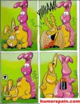 animales29.jpg