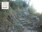 CIMG2152 (Copiar).JPG
