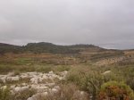 Foto0490_800x600.jpg