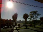 IMG-20121118-00228.jpg