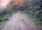 09092008_018.jpg