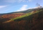 09092008_034.jpg