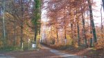 100_1637.jpg