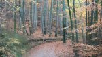 100_1643.jpg
