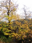 DSC01971.JPG
