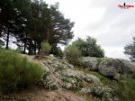 IMG_0925.JPG