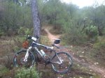 bike_con_invento.jpg