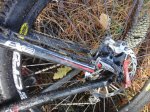 IMG-20121118-WA0052.jpg