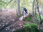 IMG-20121118-WA0003.jpg