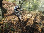 IMG-20121118-WA0036.jpg