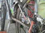 IMG-20121118-WA0005.jpg