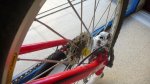 specialized1.JPG