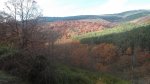 DSCF1108.JPG