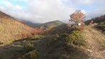DSCF1105.JPG
