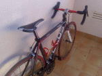 DSC_0085.gif