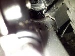20121117_083822.jpg