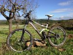 cannondale trigger 1.jpg