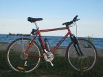 bici.jpg