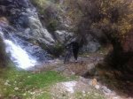 IMG_0661.jpg