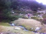 IMG_0689.jpg