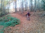 2012-11-11 10.13.40.jpg