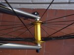 DSC00449.JPG