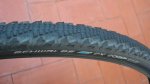 schwalbe2.jpg