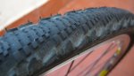 schwalbe3.jpg