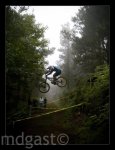11537_103296616356225_4939984_n[1].jpg