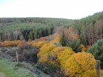 DSC04980_1024x768.jpg
