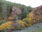 DSC04982_1024x768.jpg