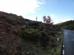 DSC04985_1024x768.jpg