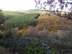 DSC04988_1024x768.jpg