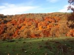 DSC04993_1024x768.jpg