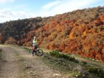 DSC04998_1024x768.jpg