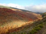 DSC05001_1024x768.jpg