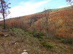 DSC05006_1024x768.jpg