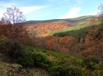 DSC05012_1024x768.jpg