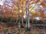 DSC05037_1024x768.jpg