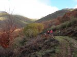 DSC05041_1024x768.jpg