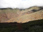 DSC05080_1024x768.jpg