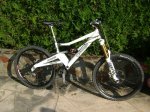 dsc02537go.jpg