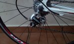IMG-20121108-WA0019.jpg
