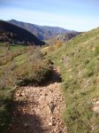 DSC02707.JPG