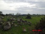 CIMG0514_4.JPG