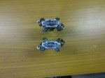 2012-11-24_16-34-15_518.jpg