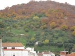 IMG_9588.jpg