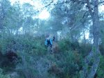 P1060497_800x600.jpg