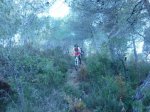P1060498_800x600.jpg