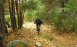 DSCF0717.JPG
